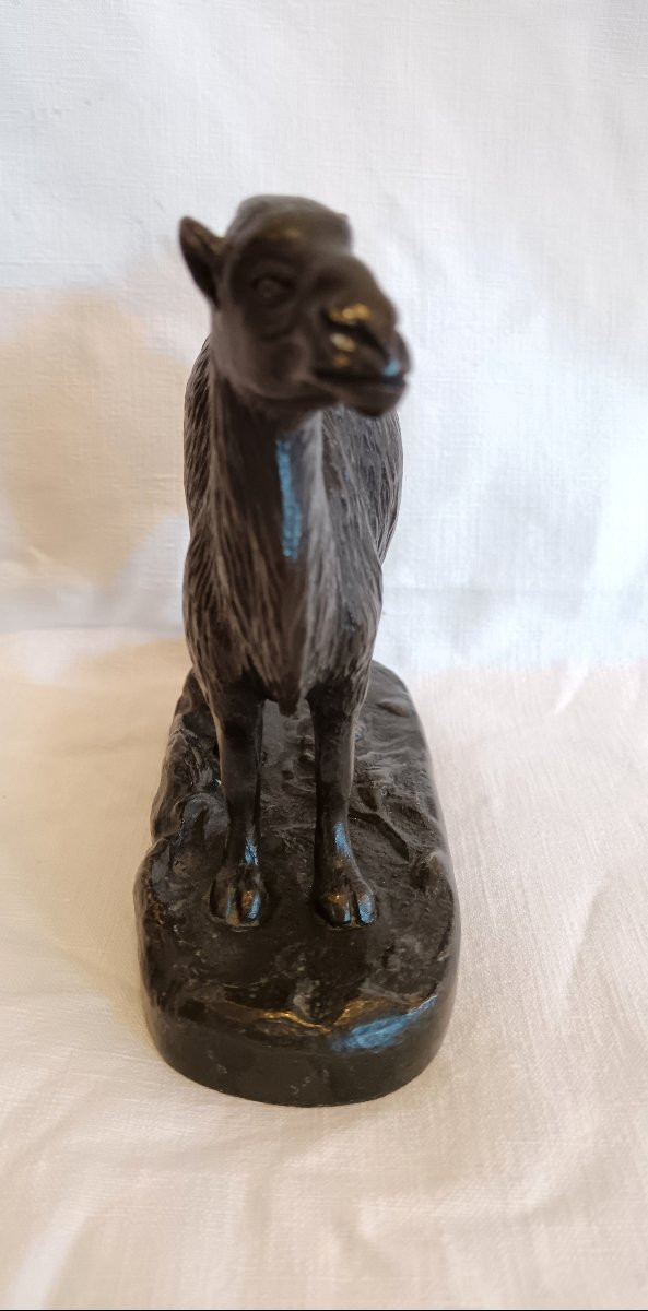 Bronze Camel, Late 19th Century-photo-2