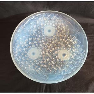 "marguerite" Cup By Pierre d'Avesn