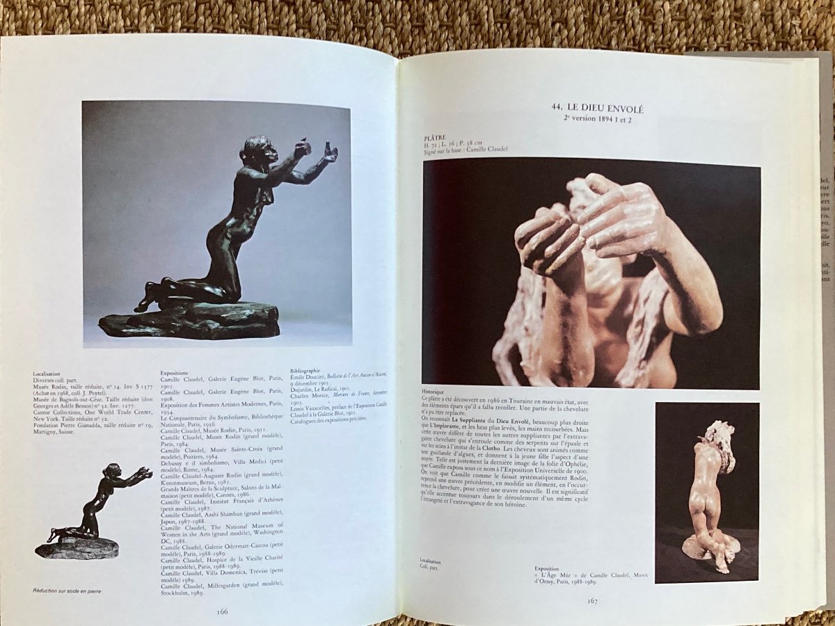 Book The Works Of Camille Claudel-photo-4