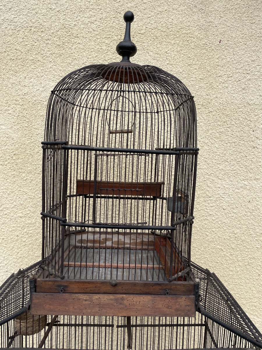 Cage A Oiseaux Style Victorien-photo-3