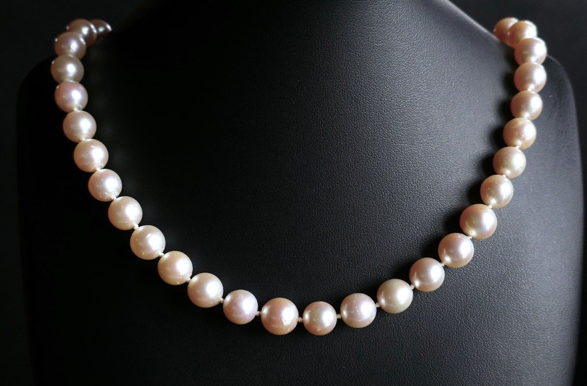 Collier De Perles De Culture Choker  Diamètre 8 - 8,5 mm.-photo-2