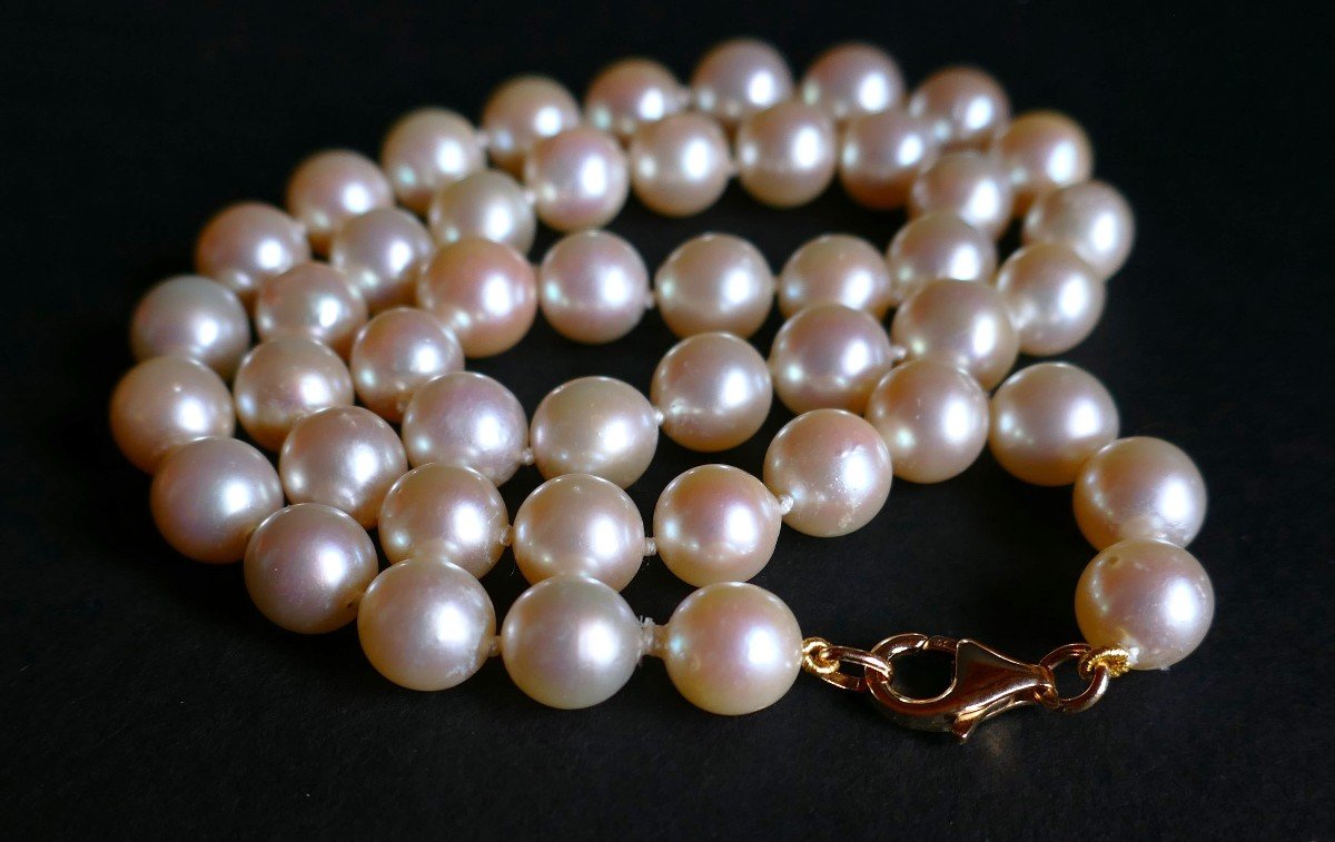 Collier De Perles De Culture Choker  Diamètre 8 - 8,5 mm.-photo-3