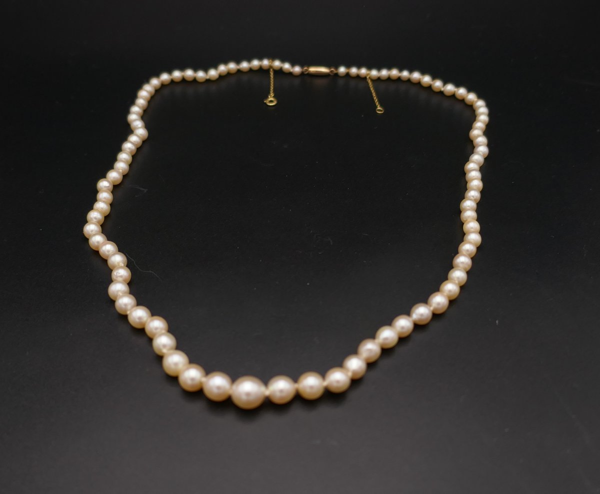 Collier De Perles De Culture En Chute, Fermoir Et Chaînette De Sécurité, 18 Carats.-photo-2