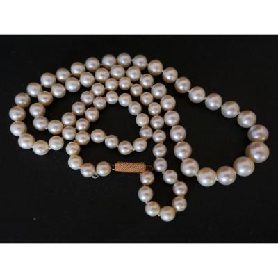 Cultured Pearl Necklace, 18k Yellow Gold Clasp.