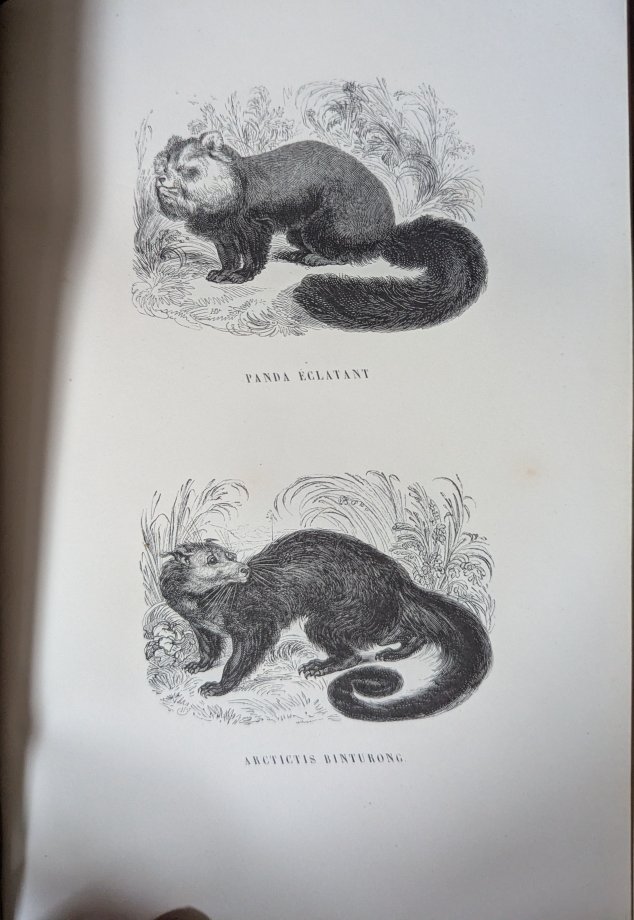 The Botanical Garden. P. Bernard. 1862. 2 Volumes.-photo-4