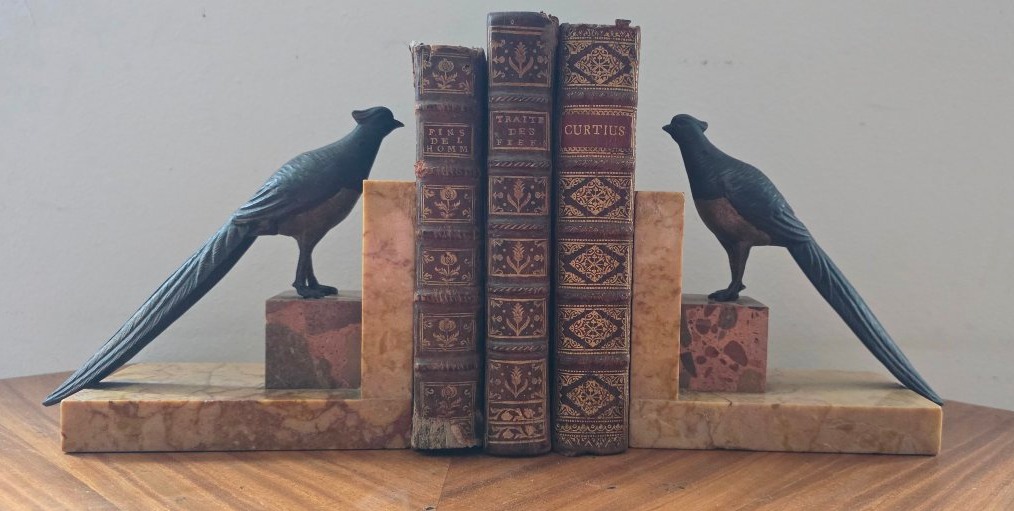 Serre livres art deco