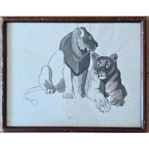 Lion et lionne. Entourage de Guyot  Lavis.