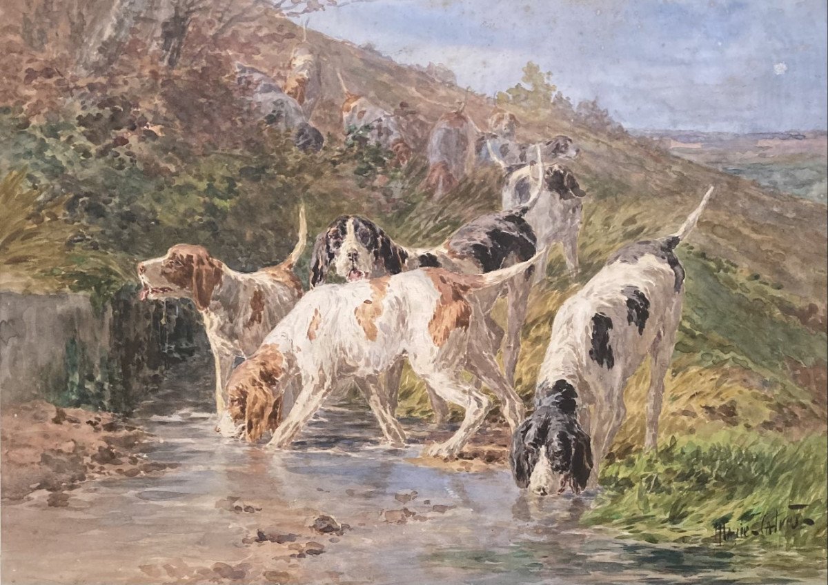 Marie Calves, Chiens De Chasse