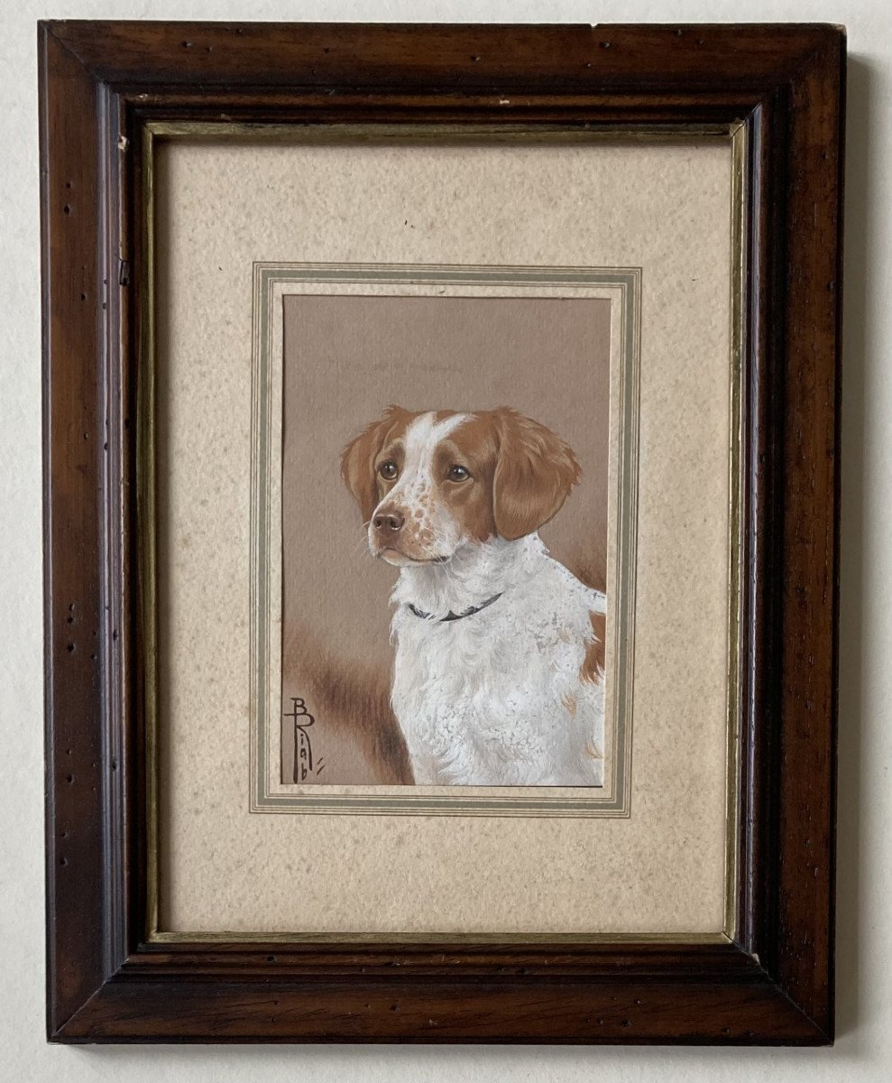 Boris Riab, Hunting Dog-photo-2
