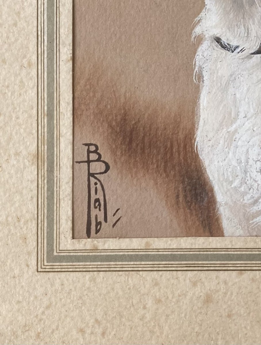 Boris Riab, Hunting Dog-photo-3