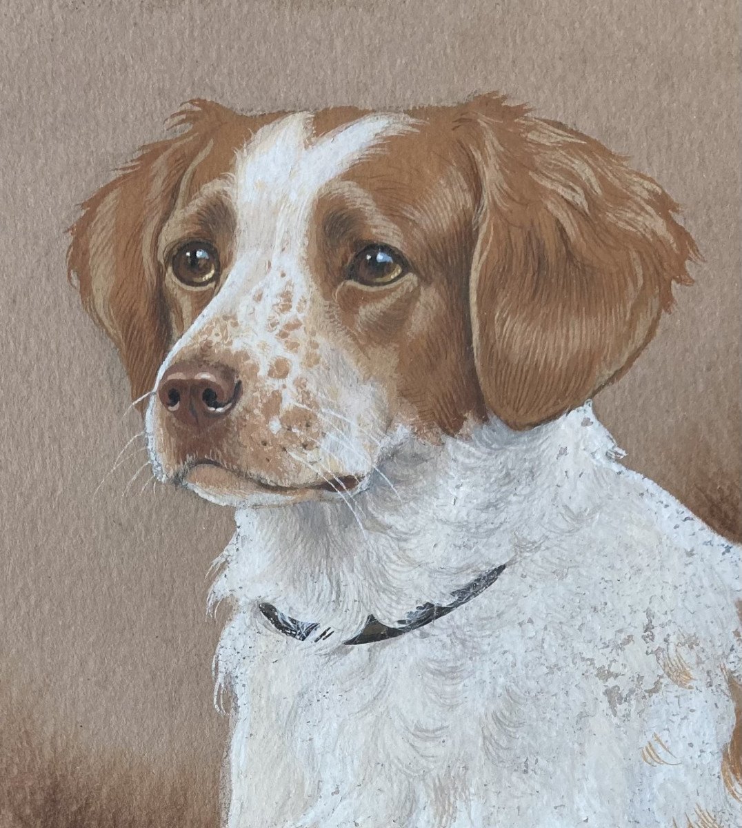 Boris Riab, Hunting Dog-photo-4