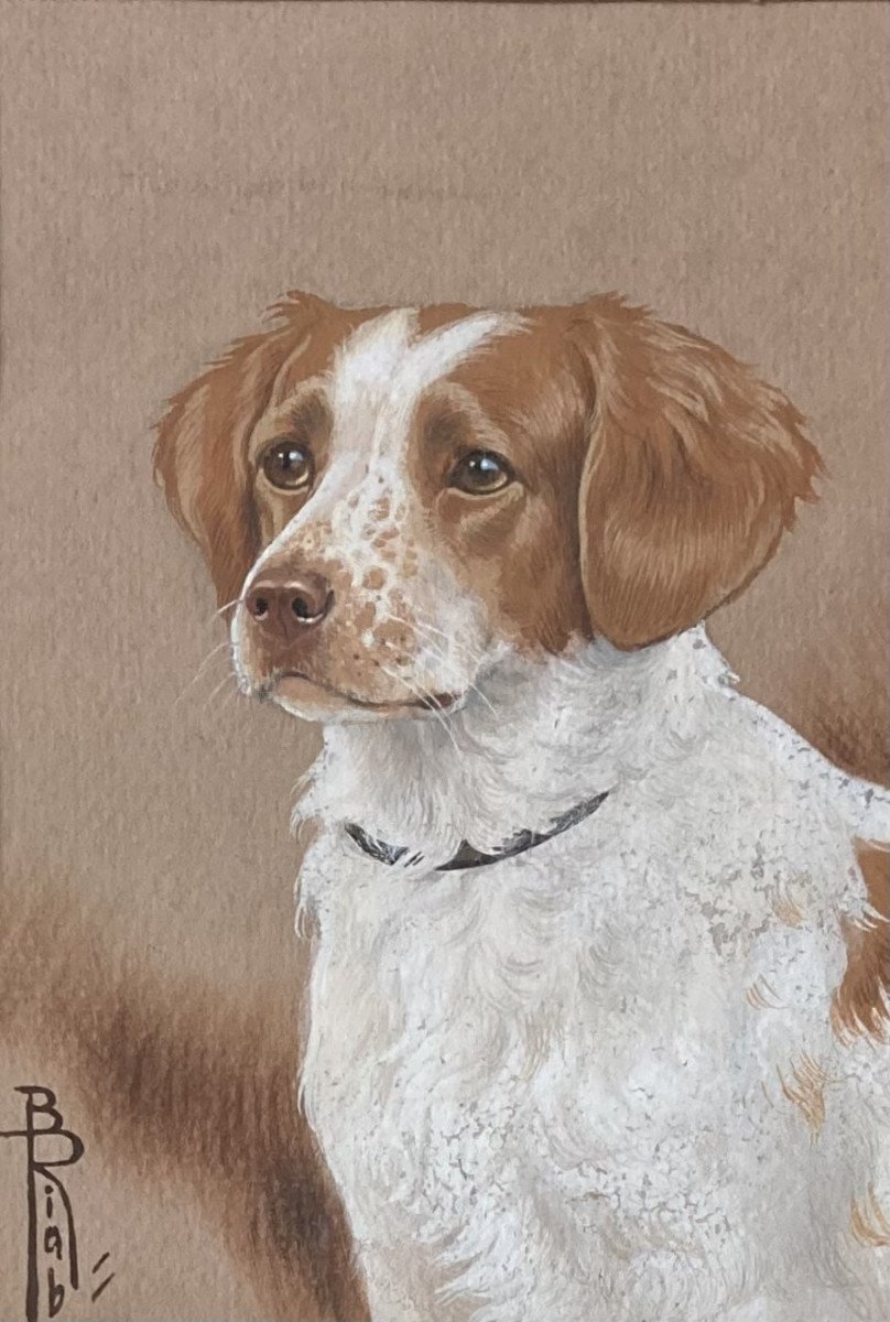 Boris Riab, Hunting Dog