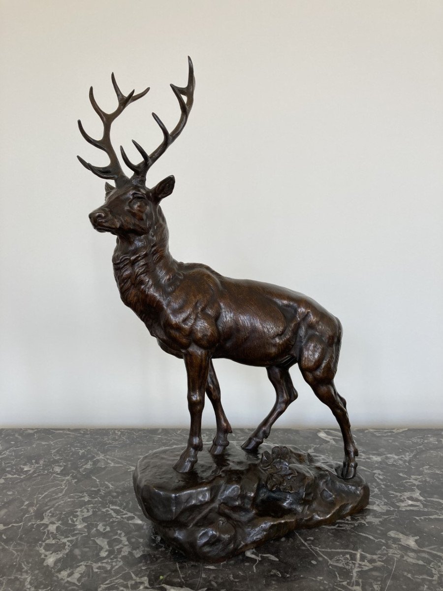 Jules Edmond Masson, Deer-photo-2