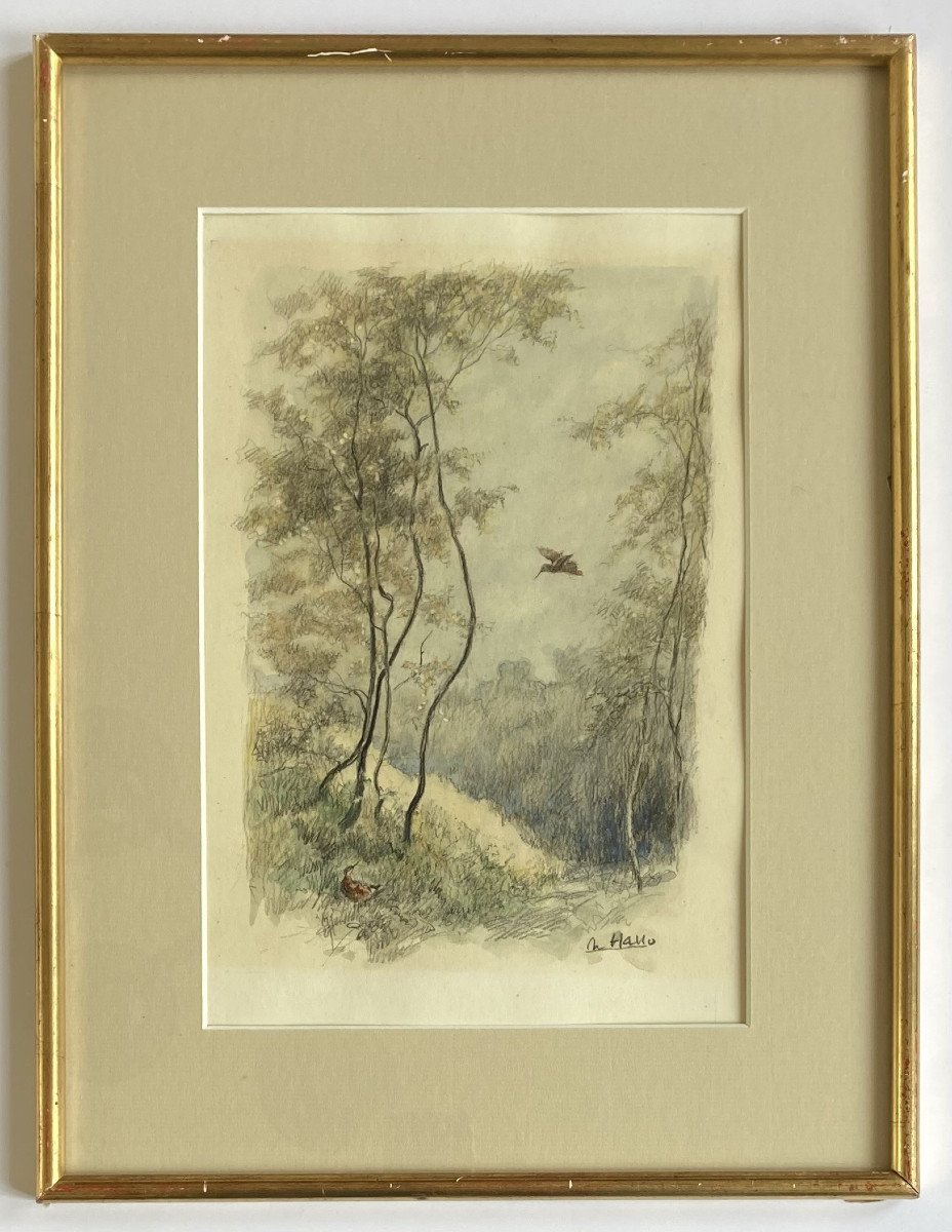 Charles Hallo, Bécasses-photo-2