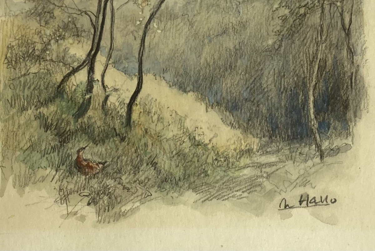Charles Hallo, Bécasses-photo-3