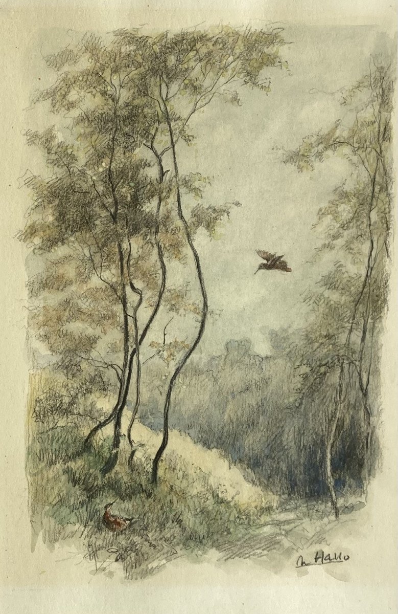 Charles Hallo, Bécasses
