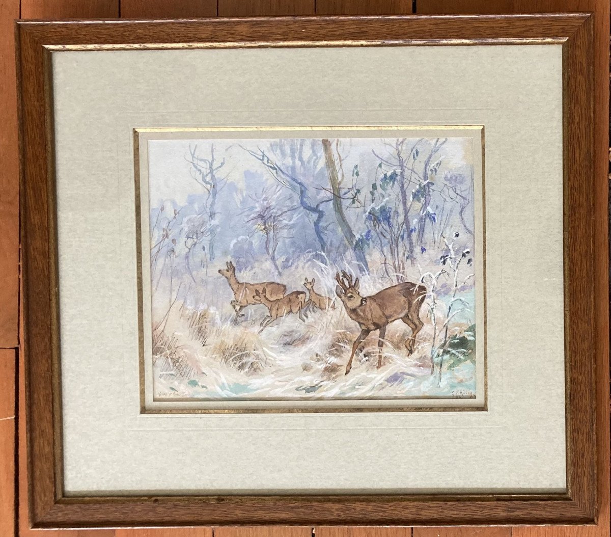 Georges Frédéric Rotig, Roe Deer-photo-2