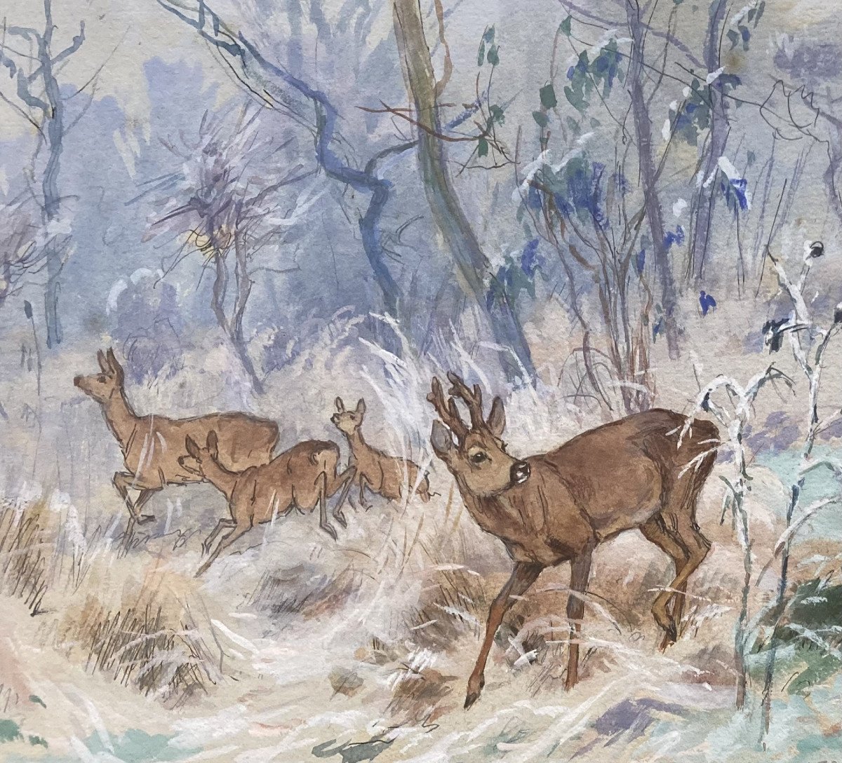 Georges Frédéric Rotig, Roe Deer-photo-2