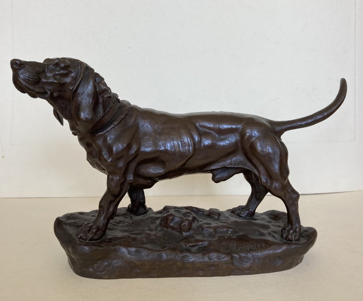 Jules Moigniez, Chien De Chasse