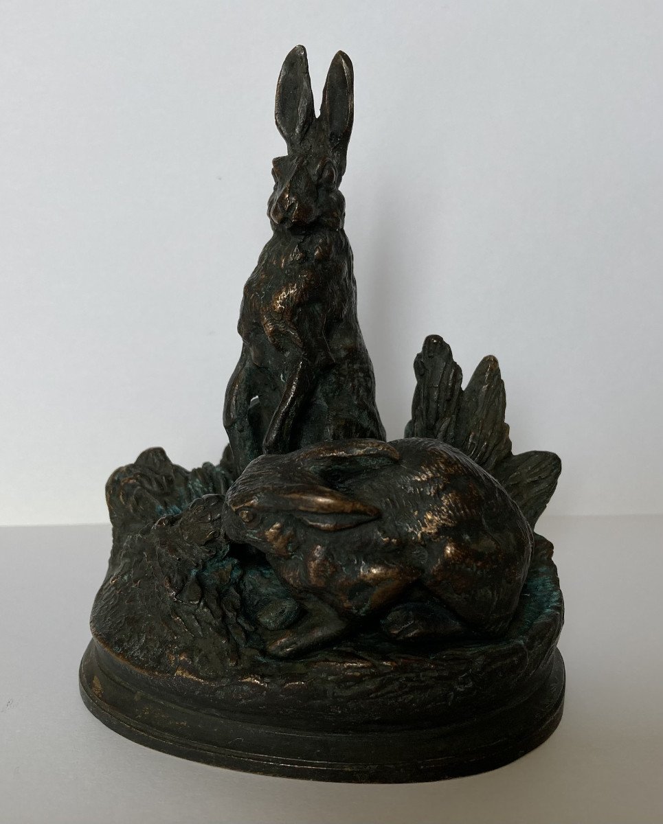 Alfred Dubucand, Hares