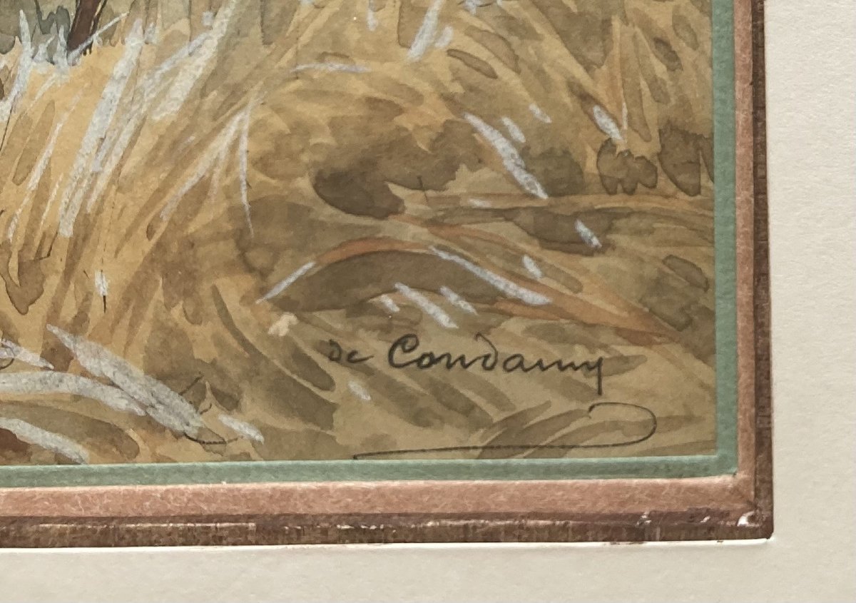 Charles Fernand De Condamy, Cerf-photo-2