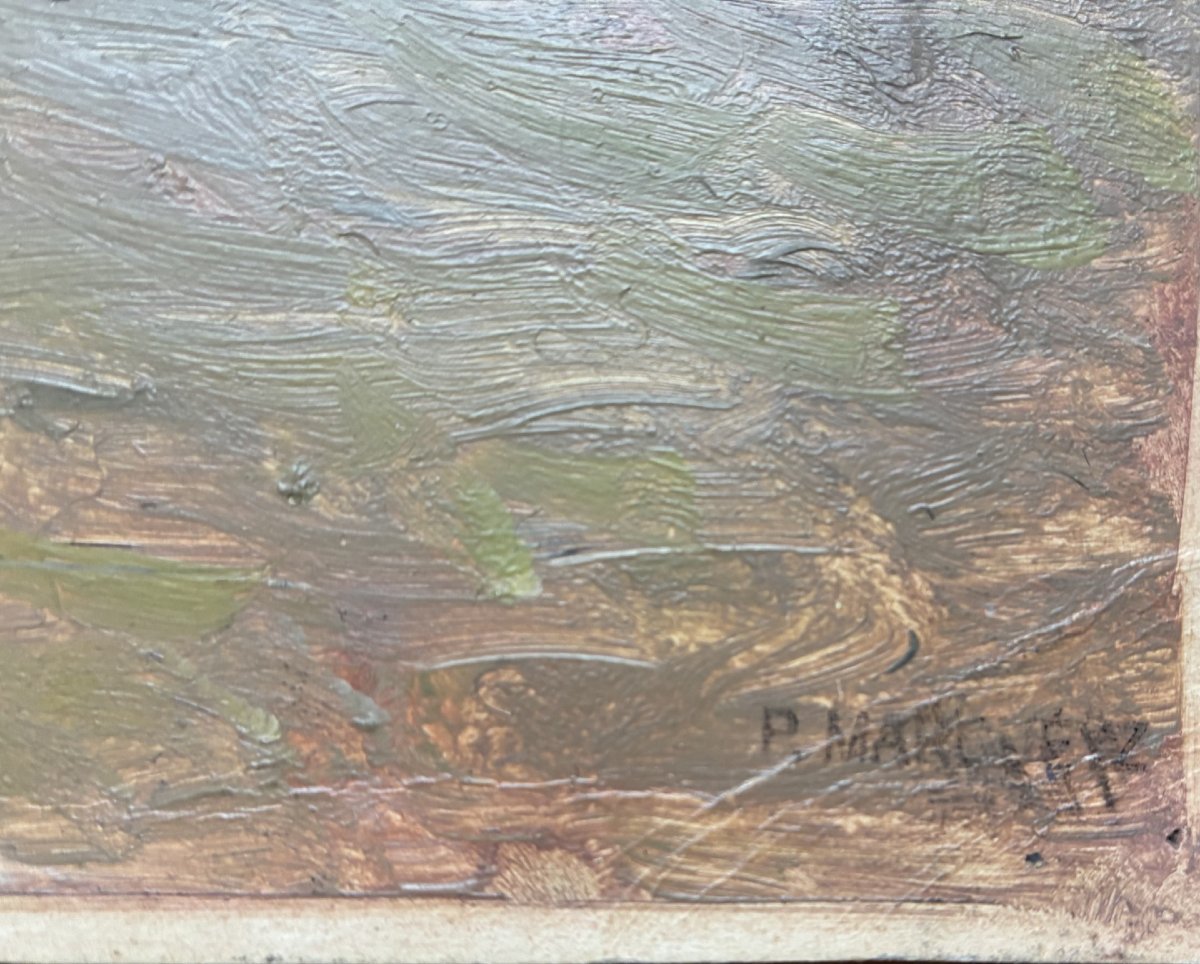 Paul Marueyz, bécasse-photo-2