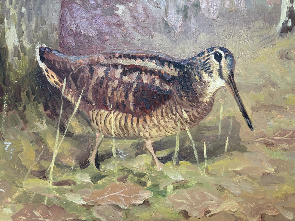 Paul Marueyz, bécasse-photo-3