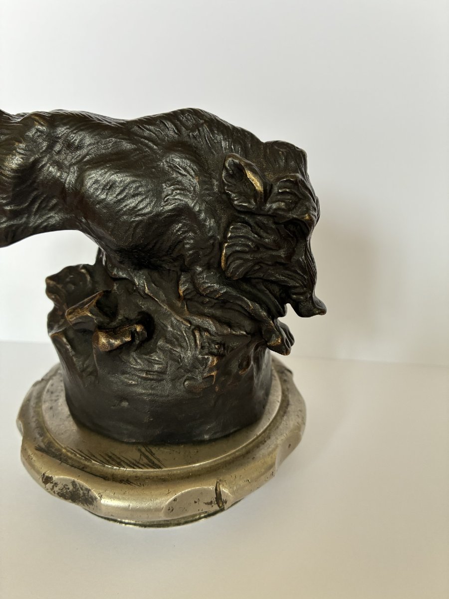Gaston d'Illiers, Wild Boar-photo-4