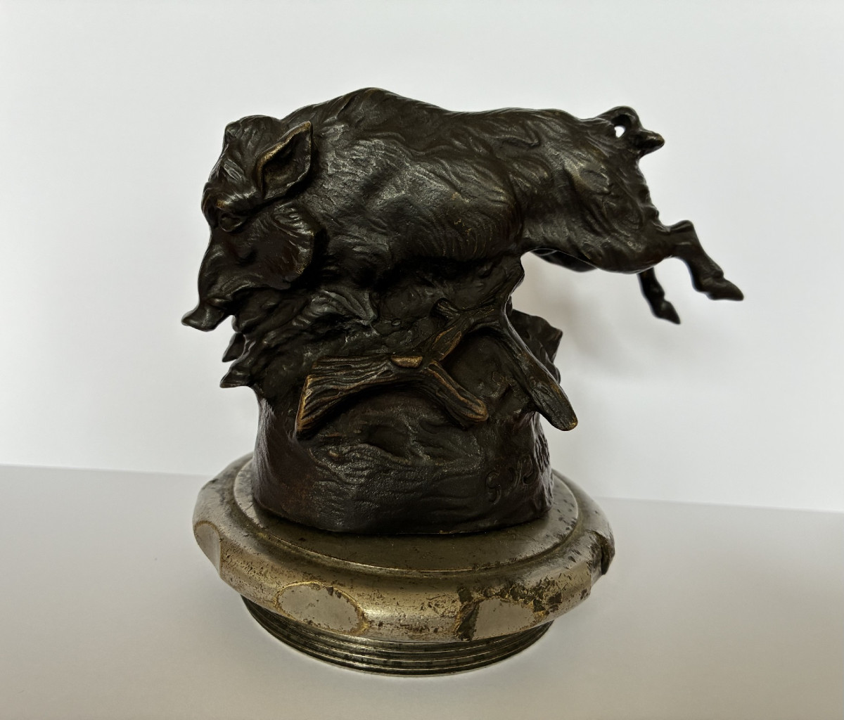 Gaston d'Illiers, Wild Boar