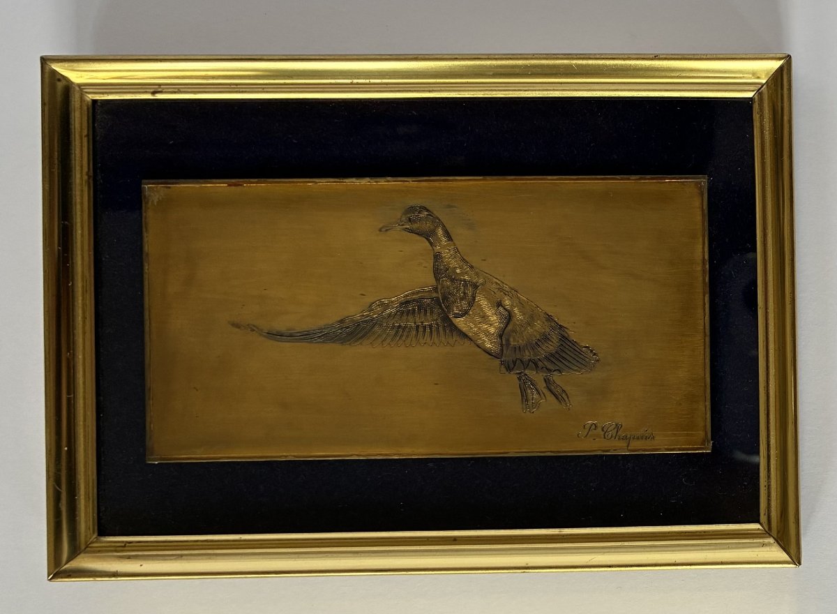 Pierre Chapuis, Canard-photo-2