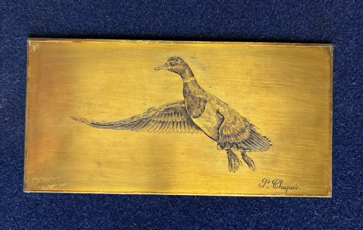 Pierre Chapuis, Canard-photo-3