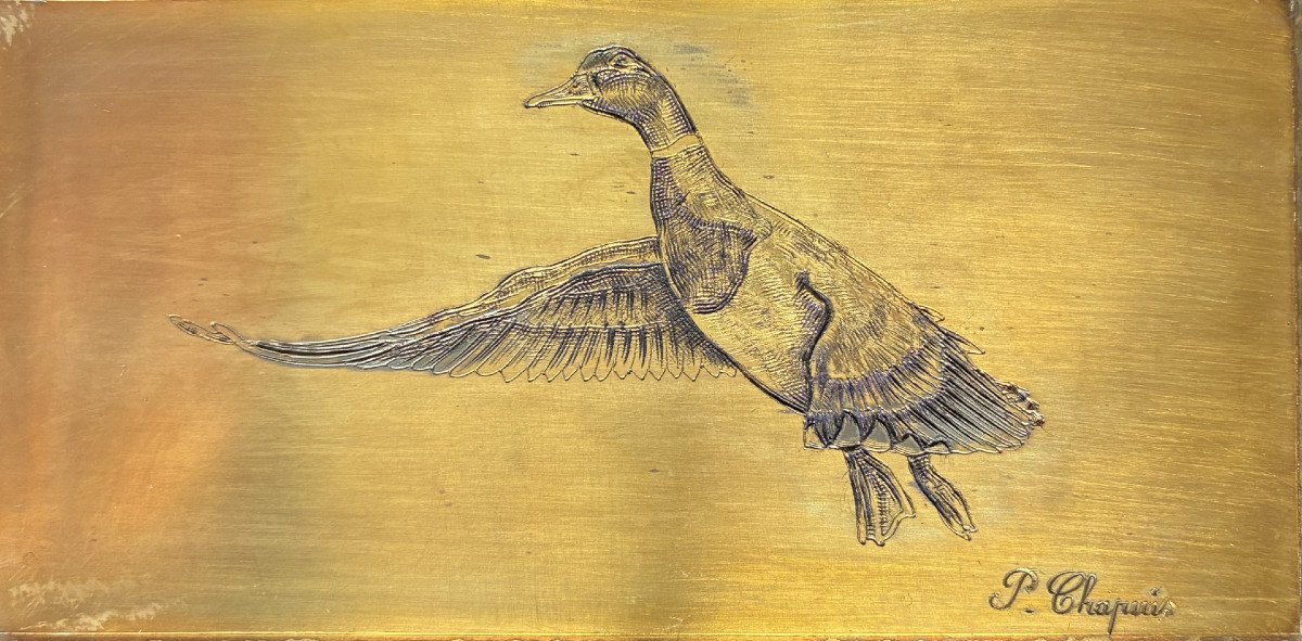 Pierre Chapuis, Canard