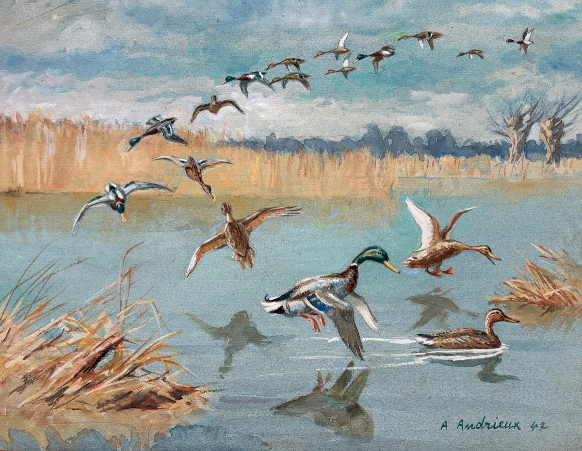Alfred Andrieux, Canards 