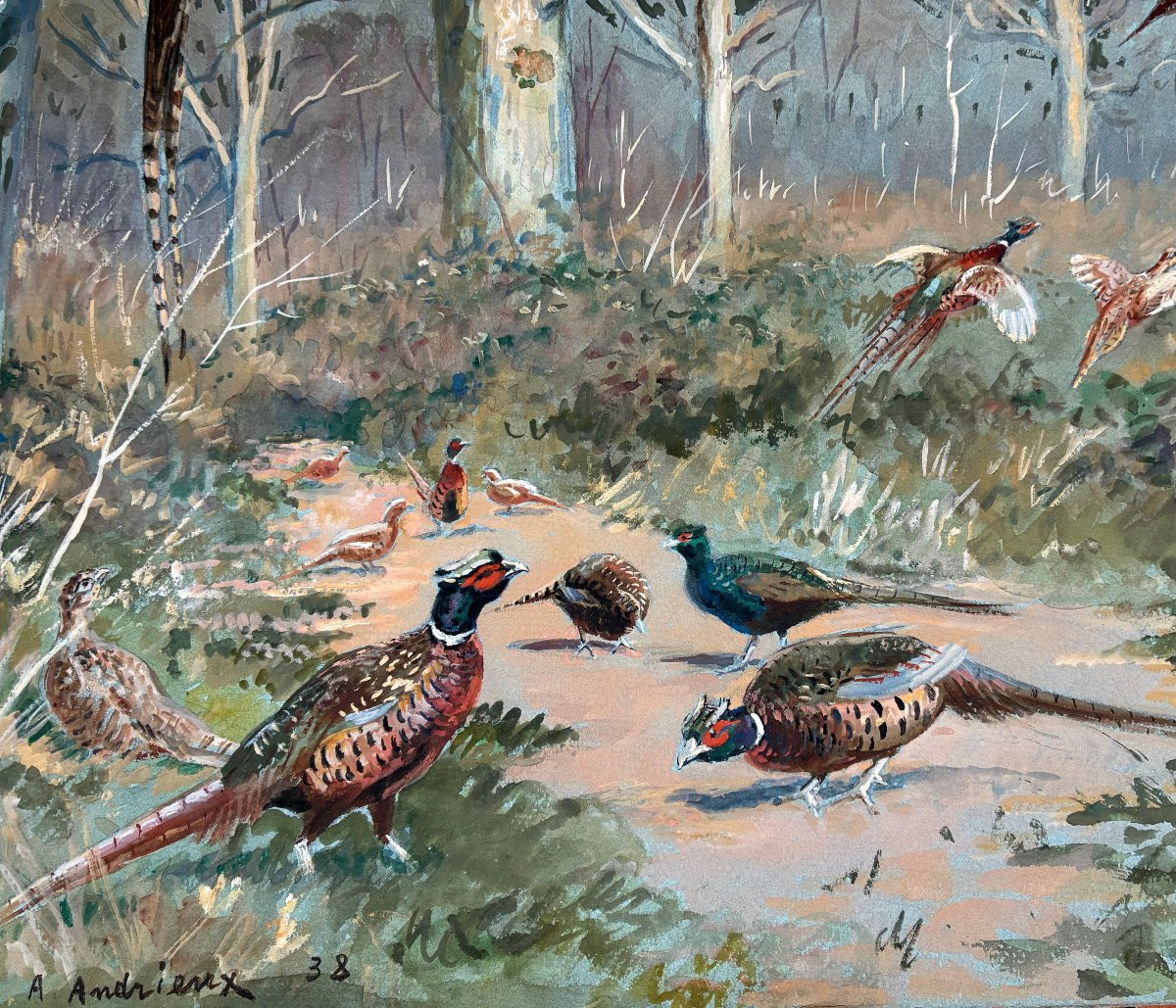 Alfred Andrieux, Pheasants-photo-2