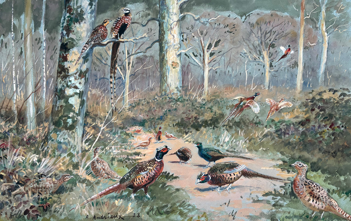 Alfred Andrieux, Pheasants