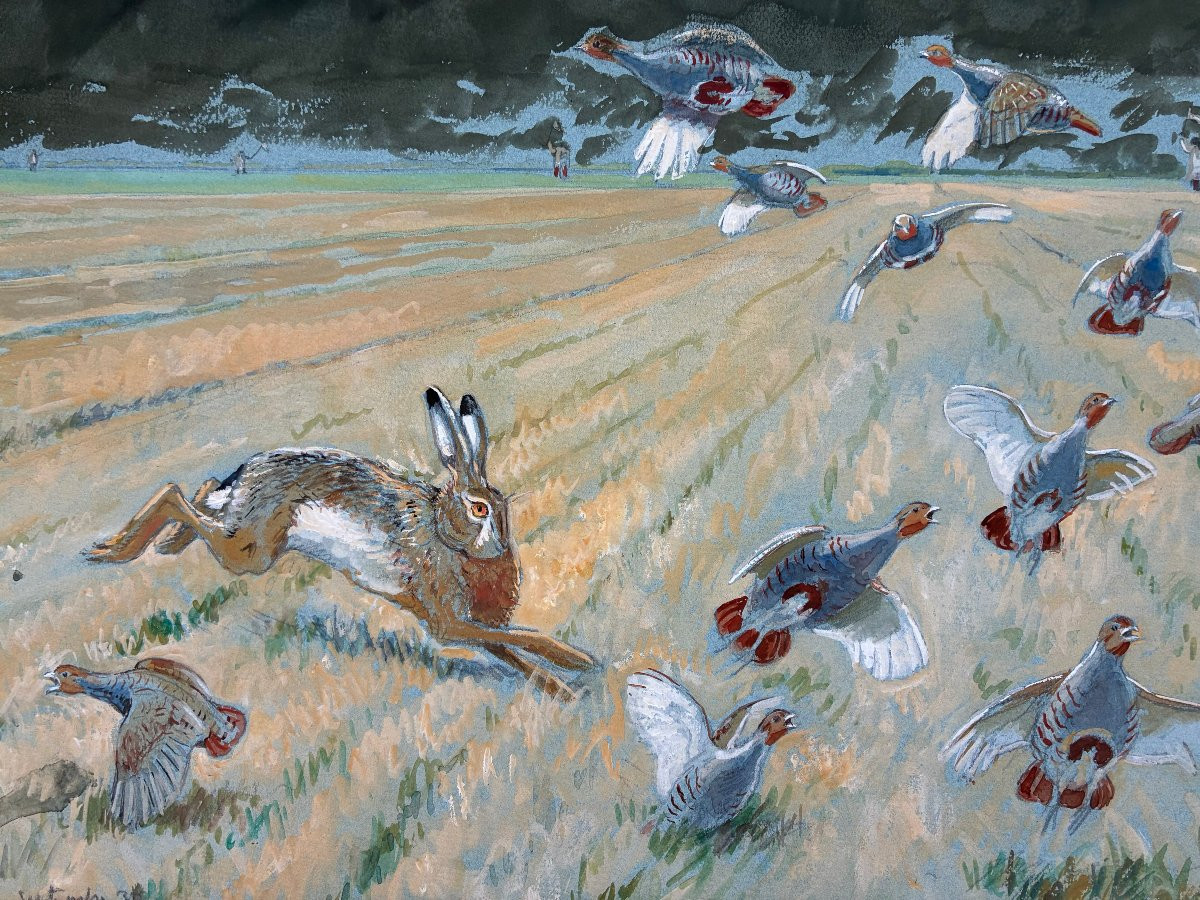 Alfred Andrieux, Partridge And Hare-photo-2