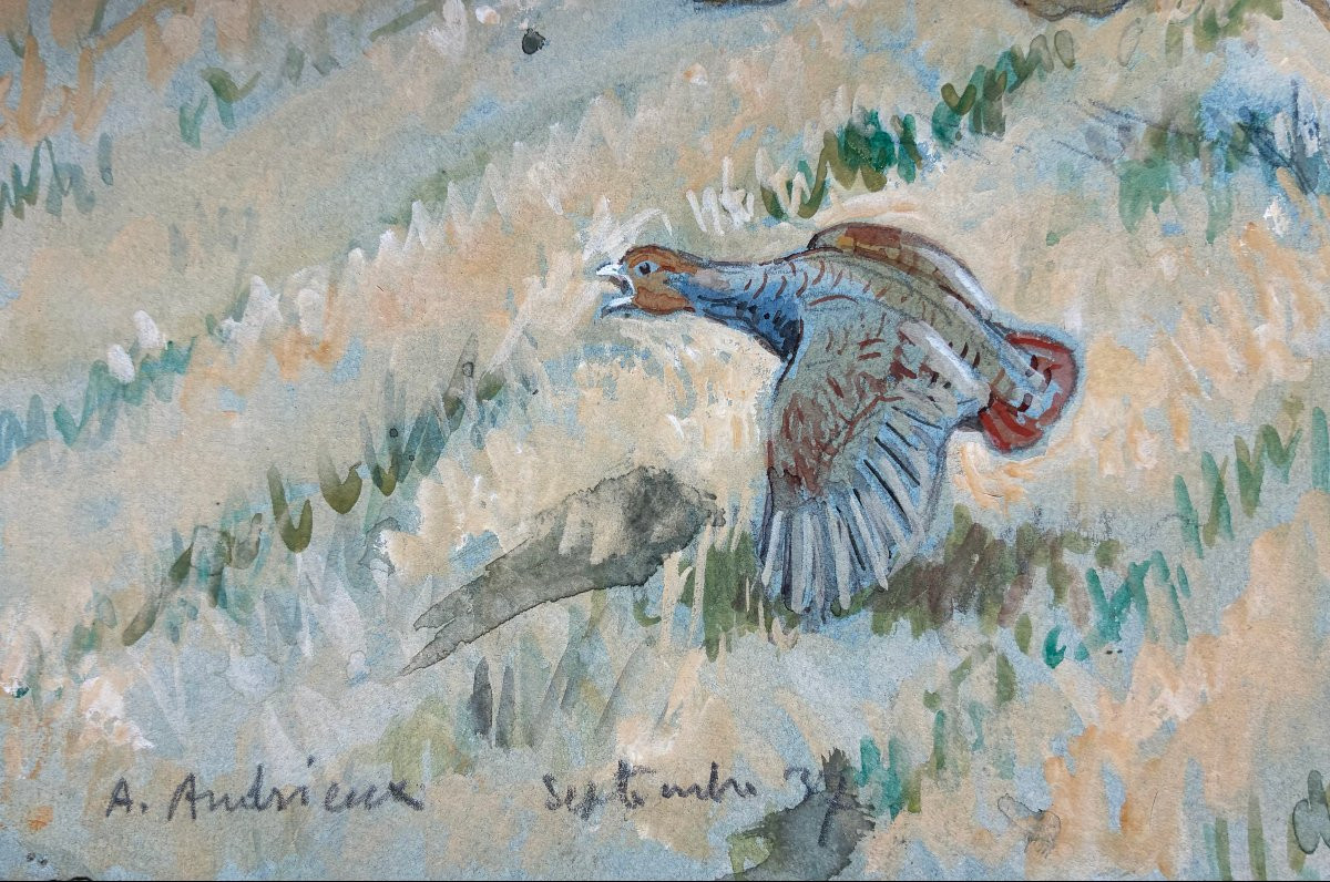 Alfred Andrieux, Partridge And Hare-photo-3