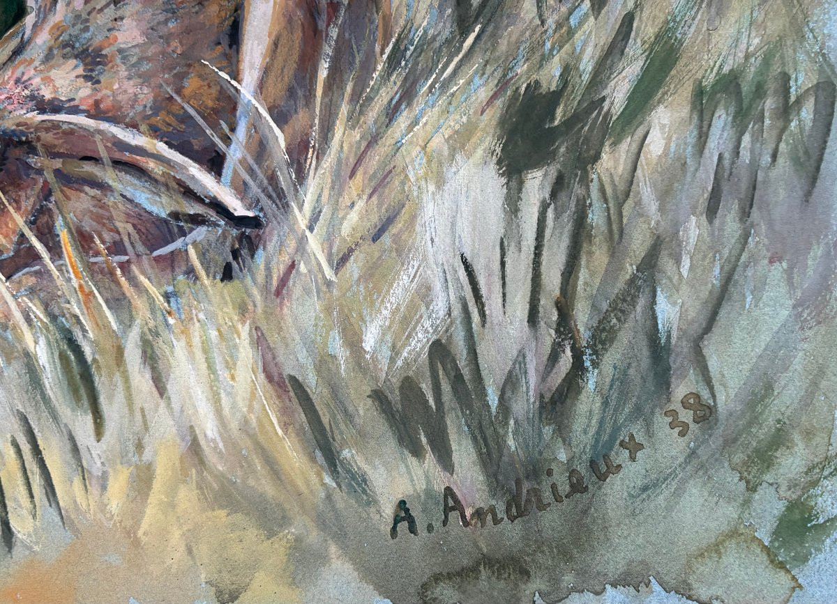 Alfred Andrieux, Renard et lièvre -photo-3