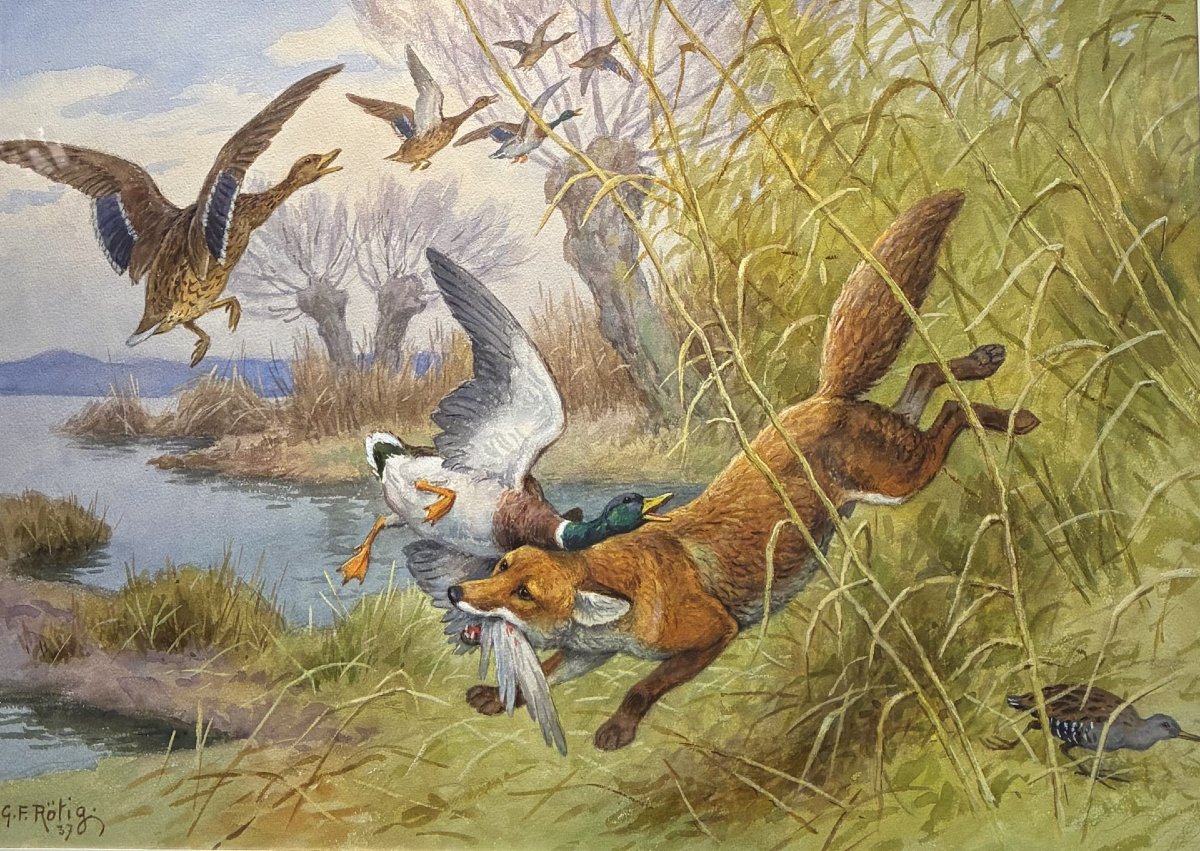 Georges Frédéric Rotig, Fox And Ducks