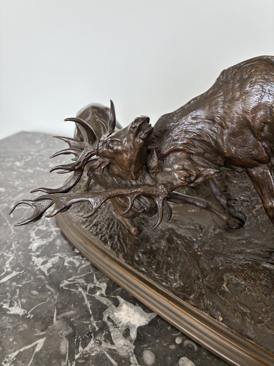 Pierre Jules Mène, Combat de cerfs-photo-4