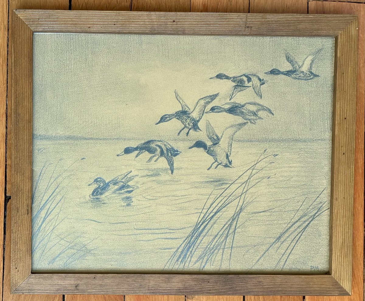 Paul Marueyz, Canards-photo-4