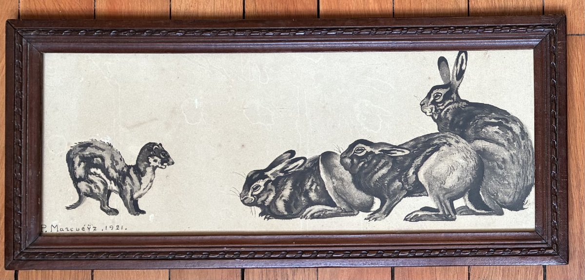 Paul Marcueyz, Lapins et furet-photo-4