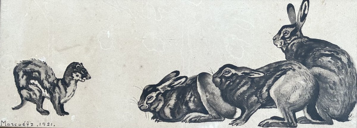 Paul Marcueyz, Lapins et furet