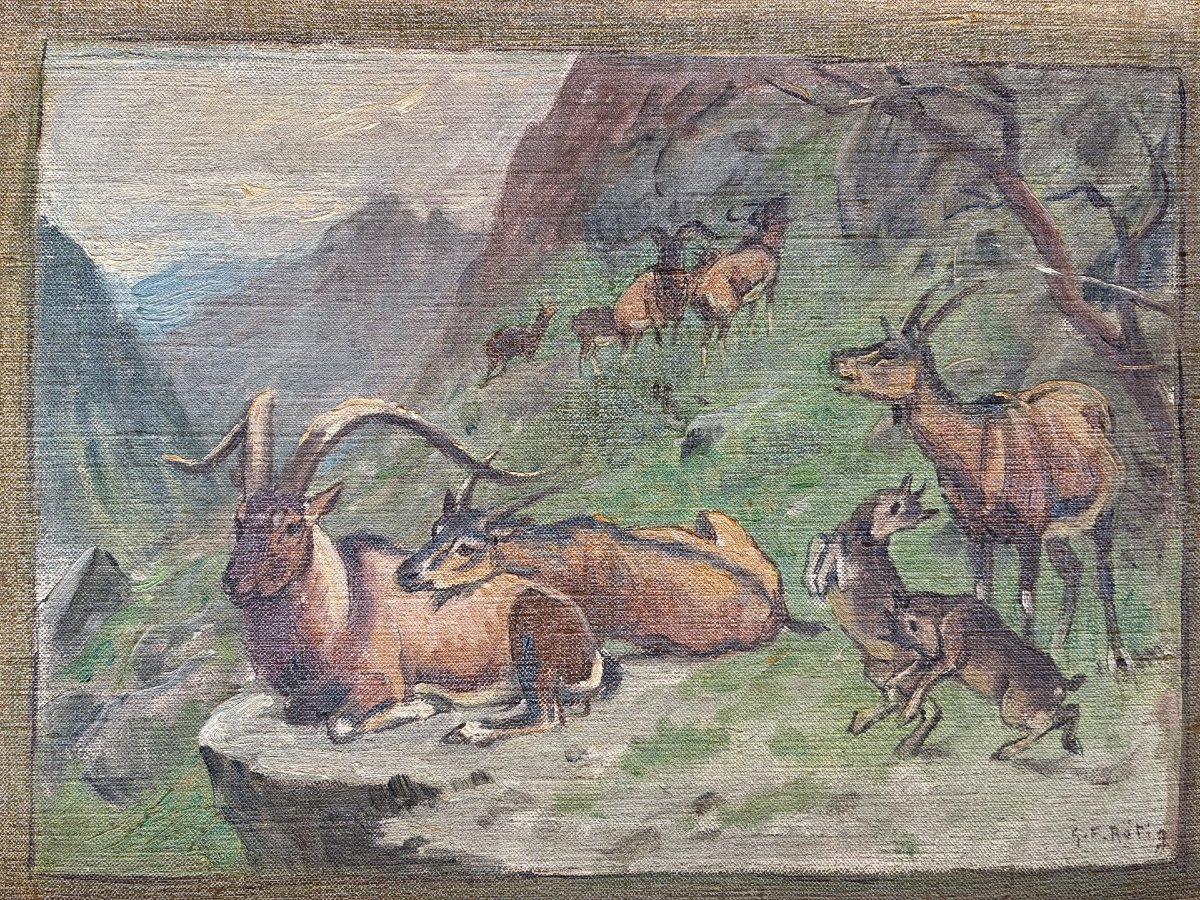 Georges Frédéric Rotig, Ibex -photo-3