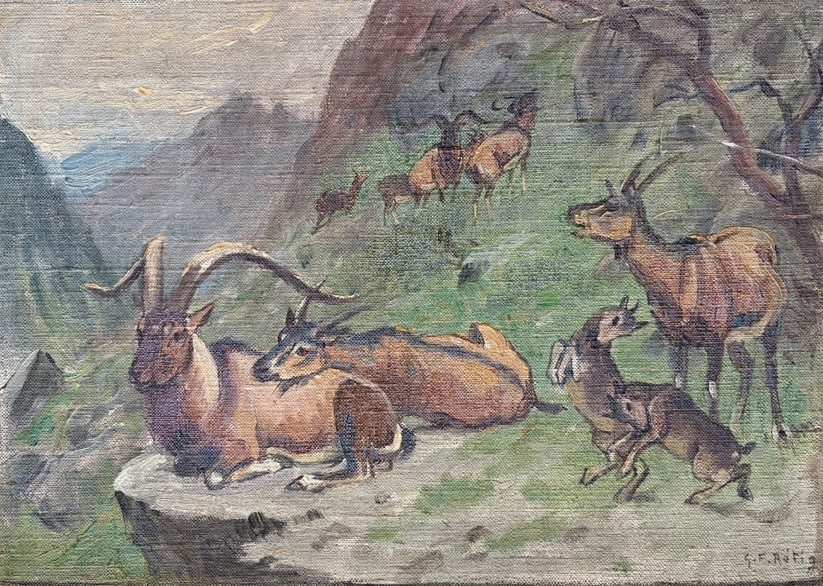 Georges Frédéric Rotig, Ibex 