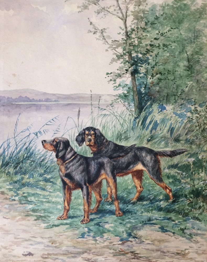 Alfred Weber, Chiens De Chasse