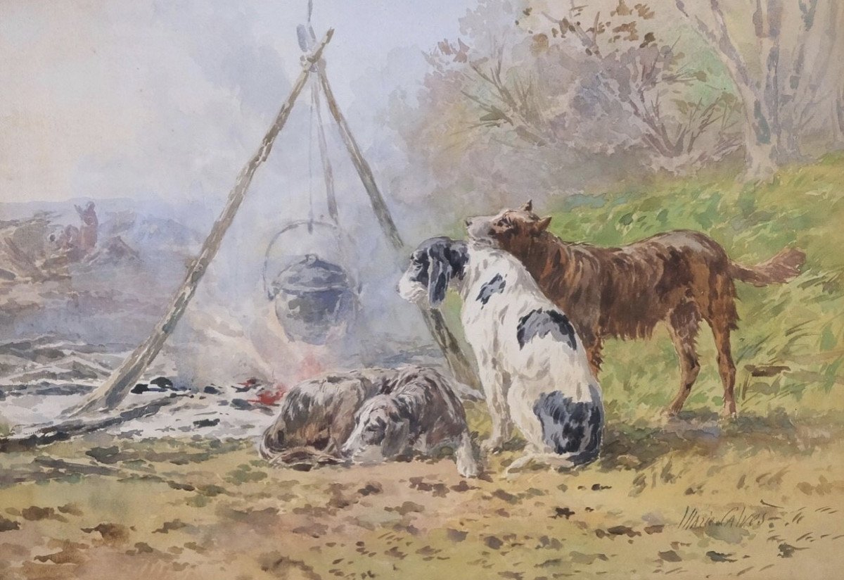 Marie Calvès, Chiens 