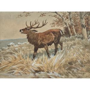 Charles Fernand De Condamy, Deer