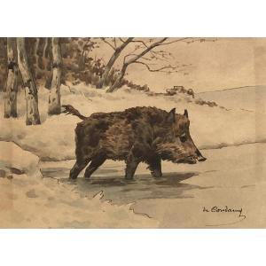 Charles de Condamy, sanglier dans la neige