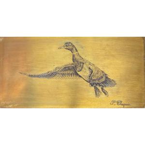 Pierre Chapuis, Canard
